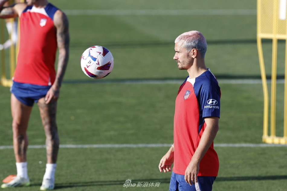 从表面看似 从表面看似